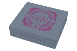 2024 National Treasures WWE Box